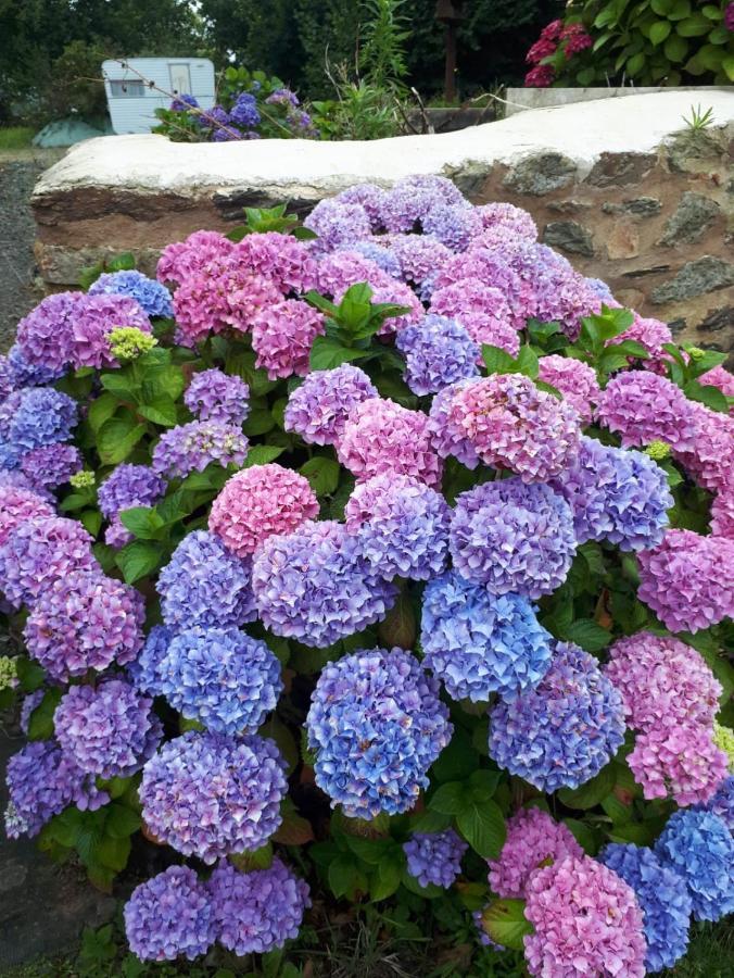 Tréguier Manoir De Parc Ar Brun 빌라 외부 사진